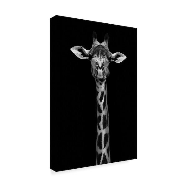 Wildphotoart 'Giraffe Portrait On Black' Canvas Art,22x32